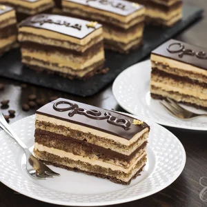 Opera Cake – French Chocolate Coffee Cake Recipe