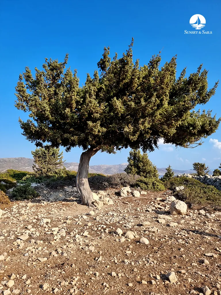 Sailing Dodecanese Plati Beach - 2