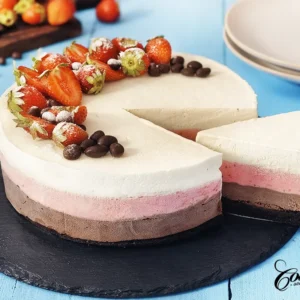 Neapolitan Ice Cream Cake with homemade ice cream