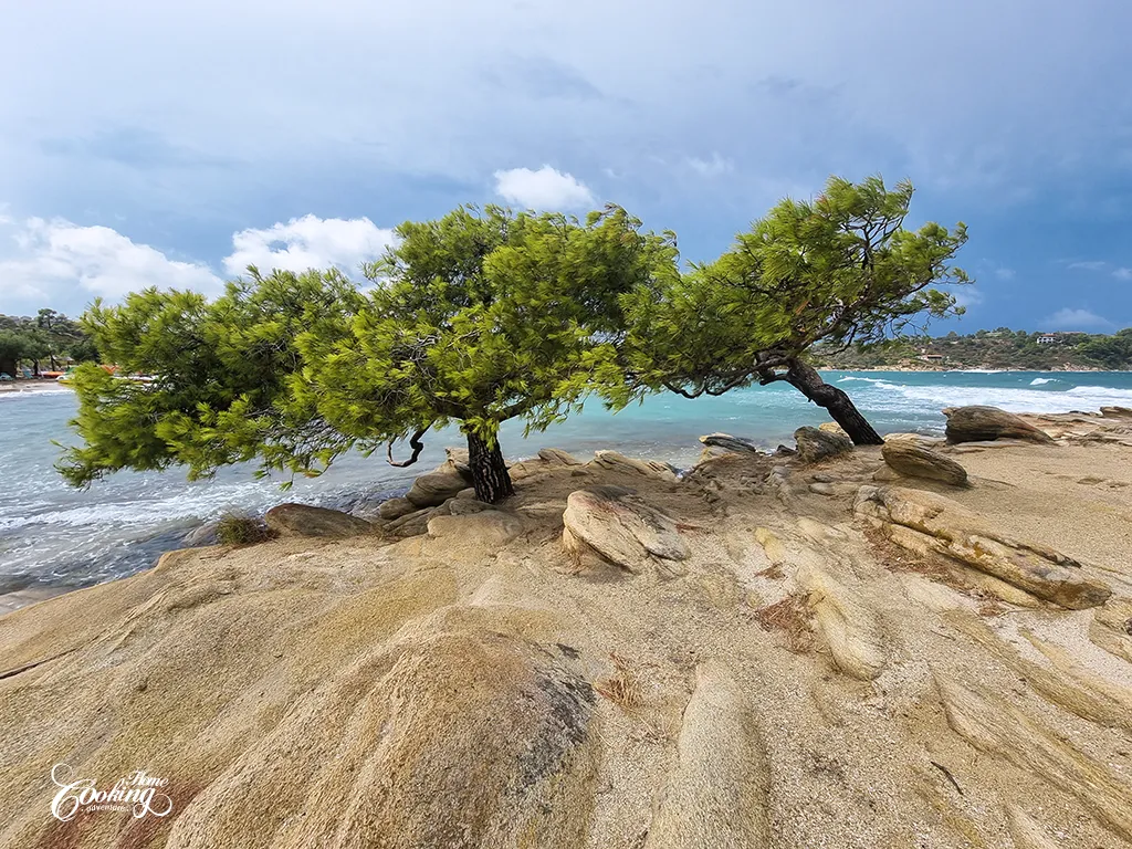 Visiting Sithonia, Lagonisi Beach 3