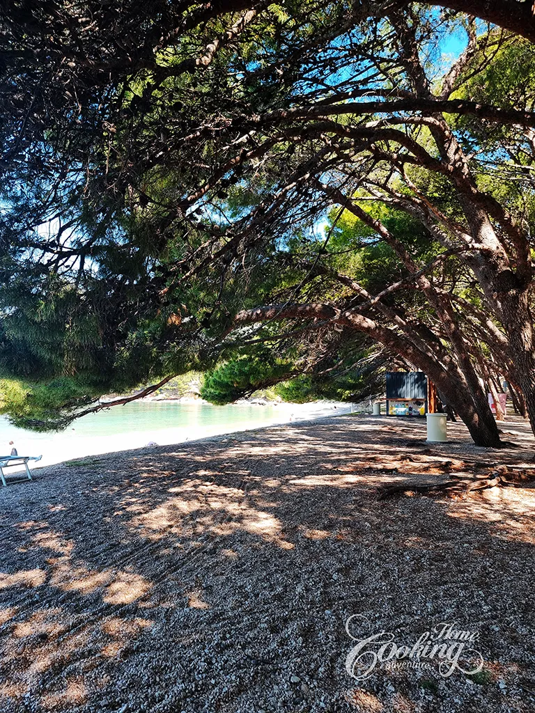 Sailing in Croatia - Bol 3