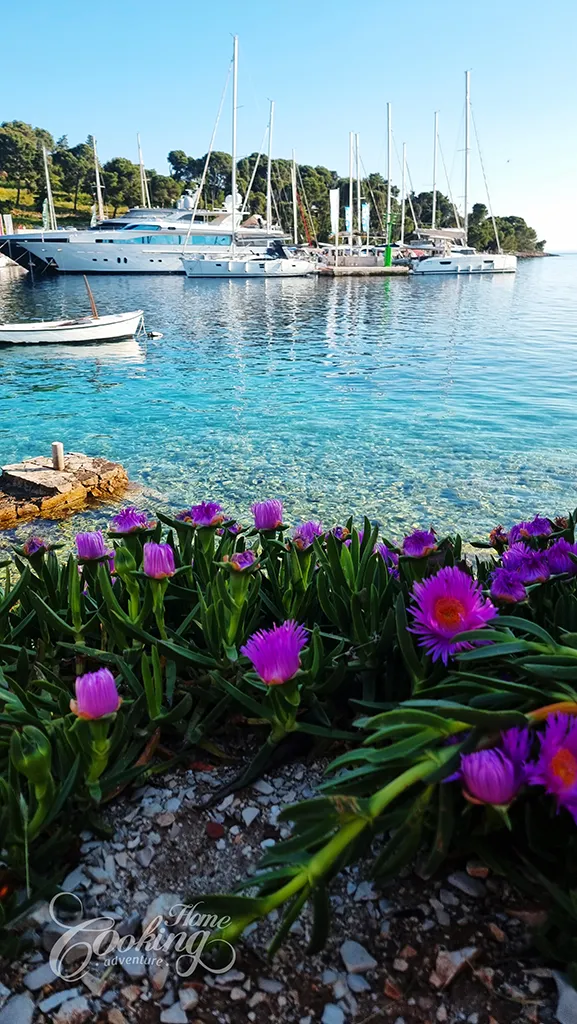 Sailing in Croatia - Maslinica 1