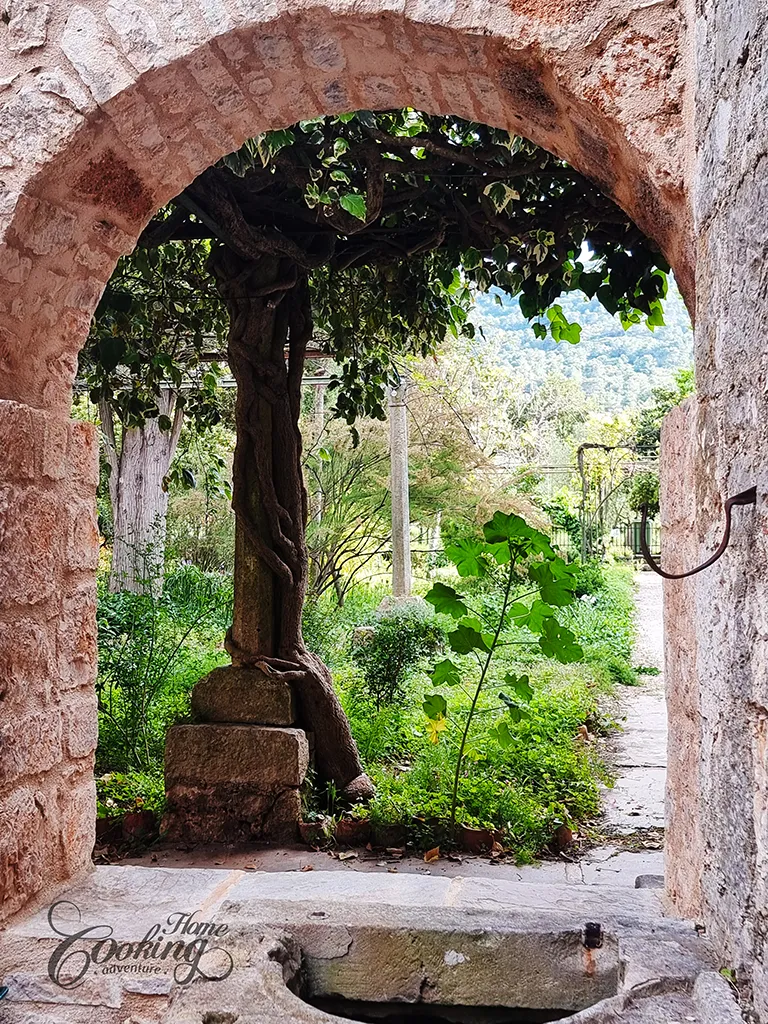 Sailing in Croatia - Stari Grad 6