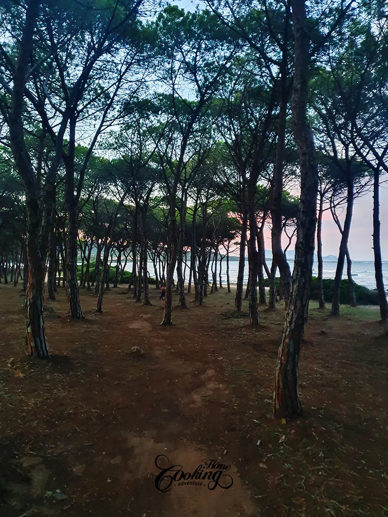 Porto Ottiolu - Sardinia