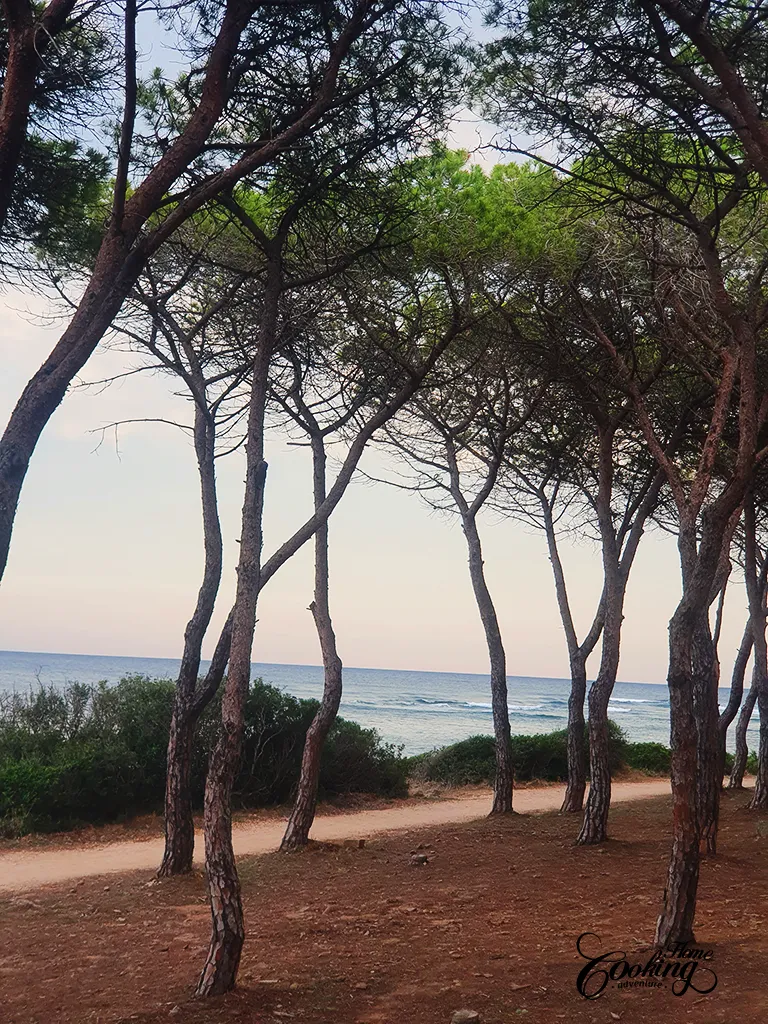 Porto Ottiolu - Sardinia