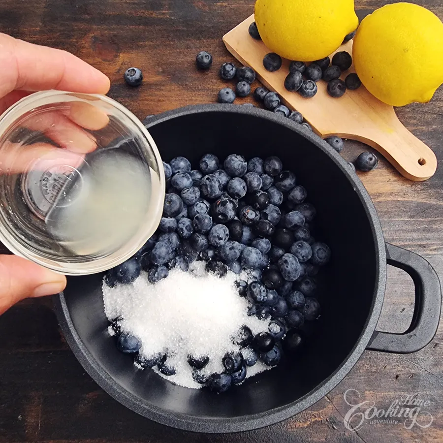 No-Bake Blueberry Lemon Tart - step6