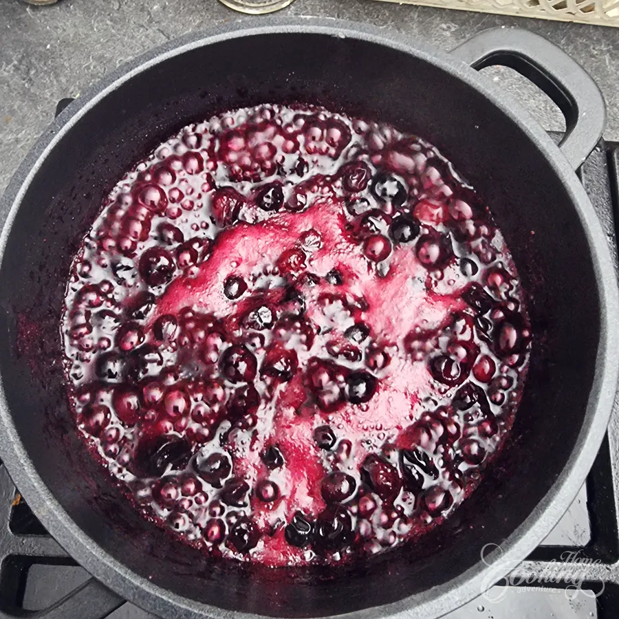 No-Bake Blueberry Lemon Tart - step9